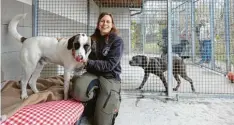  ?? Foto: Klaus Rainer Krieger ?? Tierpflege­rin Tamara Hofmann mit Hund Snow: Am neuen Standort hat das Augsburger Tierheim deutlich mehr Platz.