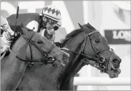  ?? B ARBARA D. LIVINGSTON ?? Miss Temple City (right) is being pointed to a repeat bid in next Saturday’s Grade 1 Shadwell Turf Mile at Keeneland.