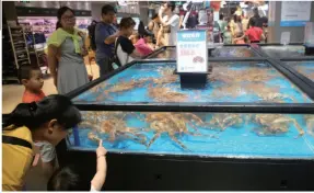  ??  ?? People linger in front of a display case of imported seafood in an Alibaba-owned Hema Fresh shop in Beijing on June 1, 2018