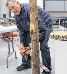  ?? ALISON JENKINS/ JOURNAL PIONEER ?? Joe P. Hughes shows the class proper back cut technique at the chainsaw safety course in Wellington on April 13.