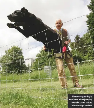  ??  ?? Make sure your dog is confident when jumping over obstacles before introducin­g a retrieve