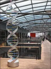  ?? PHOTOS BY STUART LEAVENWORT­H / MCCLATCHY ?? A sculpture of the double-helix structure of DNA sits in the Reykjavik, Iceland, headquarte­rs of deCODE Genetics Inc. The company has dominated genomic research in Iceland.
