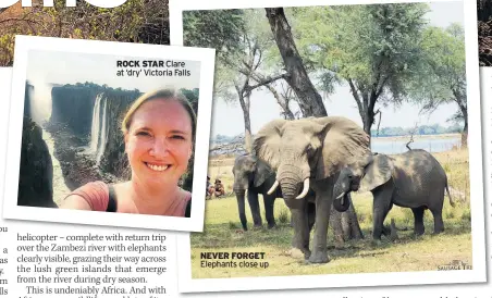  ??  ?? ROCK STAR Clare at ‘dry’ Victoria Falls NEVER FORGET Elephants close up