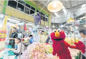  ??  ?? Elmo makes it to the flower market.