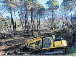  ?? M. H. ?? Maquinaria trabajando en Sierra Bermeja.