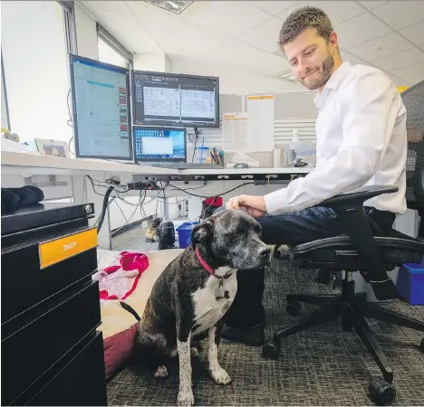  ?? JEFF MCINTOSH/THE CANADIAN PRESS ?? David Leonard and his rescue dog Riley are shown at work at Entuitive Corp. in Calgary.