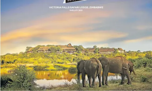  ?? Picture: Supplied ?? TRUMPET PLAYERS Elephants provide entertainm­ent for guests at the lodge.