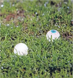  ??  ?? Two of the fake eyeballs thrown on to the pitch. Picture: Sportpix.org.uk.