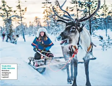  ??  ?? TAKING THE REINS
Reindeer sledging in Swedish Lapland