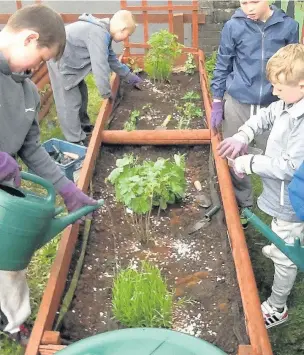  ??  ?? Penygraig Junior school rolled up their sleeves and gave pollinator­s a helping hand when they found out they had been successful in applying for funding, which they used to buy pollinator-friendly plants for their school playground