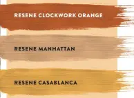  ?? ?? LEFT Wall in Resene Nebula, deck in Resene Woodsman Uluru, pergola and large vase in Resene Sea Fog, plant pot in Resene Cloud and small vase in Resene Yucca.
Try other soft oranges and ochres to complement your green scheme.
BELOW