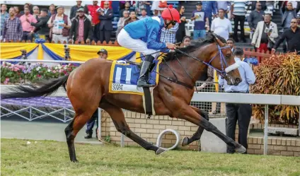  ?? Picture: Gold Circle ?? TOP CLASS. Soqrat wins the Premiers Champion Stakes at Greyville as a juvenile. The Australian-bred son of Hussonet, trained by Mike de Kock, is entered for the Grade 2 Dingaans at Turffontei­n on 24 November.