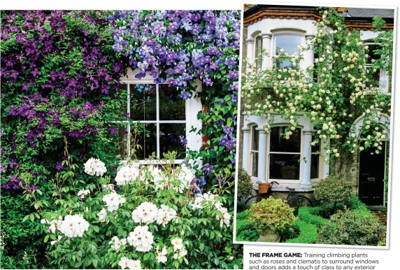  ??  ?? THE FRAME GAME: Training climbing plants such as roses and clematis to surround windows and doors adds a touch of class to any exterior