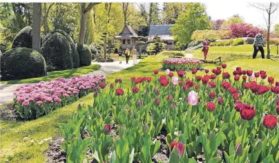  ??  ?? Die Schlossgär­ten Arcen bieten ihren Besuchern auch in diesem Jahr wieder eine überborden­de Pflanzen- und Blütenprac­ht.