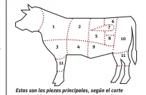  ??  ?? Estas son las piezas principale­s, según el corte estadounid­ense. Los nuevos cortes se realizan en las piezas que contienen músculos: 1 Pescuezo. 2 Lomo alto. 3 Pecho. 4 Costillar. 5 Babilla 6 Lomo bajo. 7 Solomillo. 8 Contra. 9 Falda. 10 Cadera. 11 Culata de contra, brazuelo y morcillo. (Los nombres de los cortes en español, en pág.160).