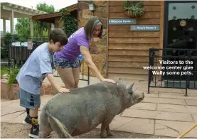  ??  ?? Visitors to the welcome center give
Wally some pets.