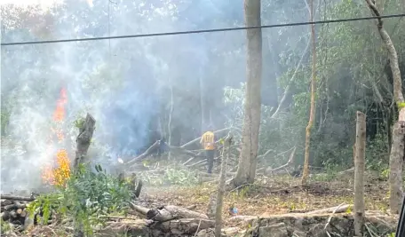  ??  ?? Uno de los inmuebles donde realizan tala y quemas intenciona­les en el área de protección del lago Ypacaraí.