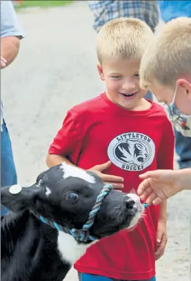  ?? JULIA MALAKIE / LOWELL SUN ?? DJ Pickard, 5, center, and his brother William, 7, with Freedom, a female Holstein calf born on the 4th of July at the Idyllvale Farm in Littleton Tuesday.