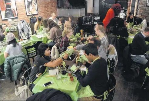  ?? AP PHOTO ?? A crowded bar in downtown Boston during Plant Nite, where people where there to learn the craft of terrarium building.