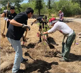  ?? RECORDER PHOTO BY ESTHER AVILA ?? Cathy Capone, right, ties a tree to a stake Friday as Gabriel Bailey, Alexander Cervantez, and Daniel Moreno of Galaxy Theater, Portervill­e, complete the planting of the Valley Oak tree on Friday at the Tule River Parkway.