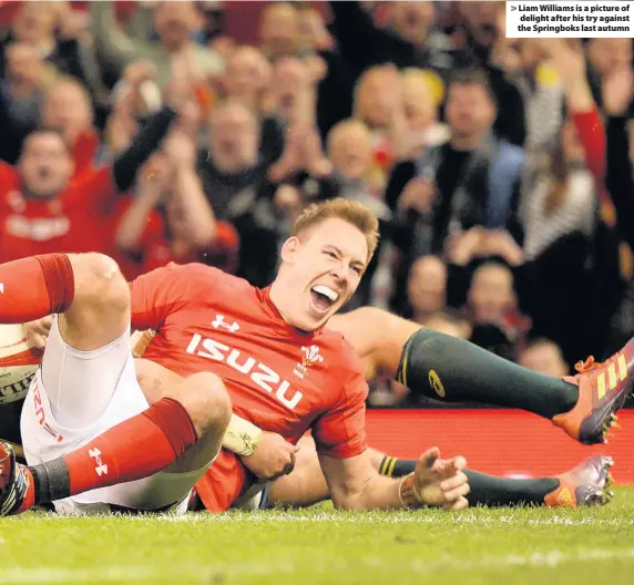  ??  ?? > Liam Williams is a picture of delight after his try against the Springboks last autumn