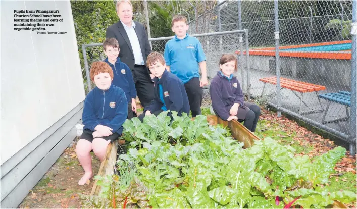  ?? Photos / Bevan Conley ?? Pupils from Whanganui’s Churton School have been learning the ins and outs of maintainin­g their own vegetable garden.