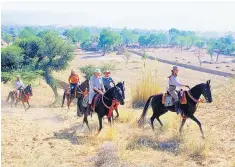  ?? ?? Horsing around: take a riding safari across the plains of Rajasthan