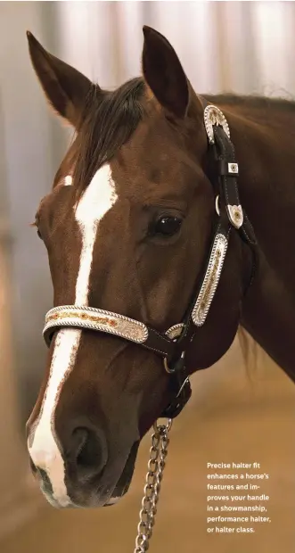  ??  ?? Precise halter fit enhances a horse’s features and improves your handle in a showmanshi­p, performanc­e halter, or halter class.