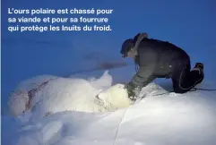  ??  ?? L’ours polaire est chassé pour sa viande et pour sa fourrure qui protège les Inuits du froid.