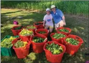 ?? SUBMITTED PHOTO ?? Picked a peck of pickled peppers & tomatillos! Jeptha Abbott DAR Second Vice Regent Karen Franks Zetterberg with husband and Sons of the Revolution member Leif Zetterberg (Bryn Mawr).
