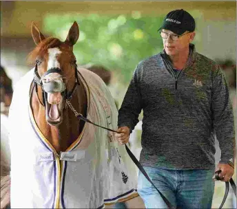  ?? BARBARA D. LIVINGSTON ?? Elliott Walden, president and CEO of WinStar Farm, walks Justify the day after the colt won the Belmont Stakes and the Triple Crown.
