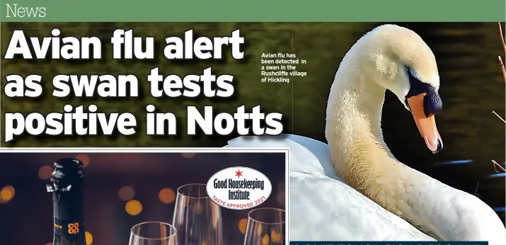  ?? ?? Avian flu has been detected in a swan in the Rushcliffe village of Hickling