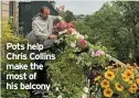  ??  ?? Pots help Chris Collins make the most of his balcony