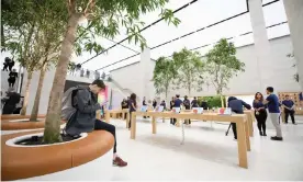  ??  ?? The upgraded Apple store in London features trees in the “Genius Grove” and has the goal of being a space for people to just hang out in. Photograph: Leon Neal/Getty Images