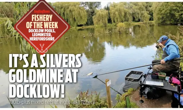  ??  ?? FISHERY OF THE WEEK DOCKLOW POOLS, LEOMINSTER, HEREFORDSH­IRE