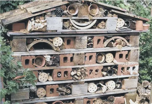  ??  ?? Build a bug hotel in your garden for the winter and you’ll have plenty of guests checking in