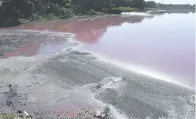  ??  ?? Vecinos afirman que una nueva curtiembre de la zona es la culpable de esta impune contaminac­ión del espejo de agua.