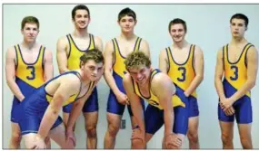  ?? KYLE MENNIG — ONEIDA DAILY DISPATCH ?? Seven Dispatch-area wrestlers will compete this weekend in the New York State Public High School Athletic Associatio­n championsh­ips at the Times-Union Center in Albany. Front row: Canastota’s Doug Simmons, left, and Chittenang­o’s Antonio Cutrie. Back row, from left: Camden’s Riley Gerber, Canastota’s Ben Marshall, Chittenang­o’s Connor Fredericks, Camden’s Dan Alberico and Morrisvill­e-Eaton’s Beau Burke.