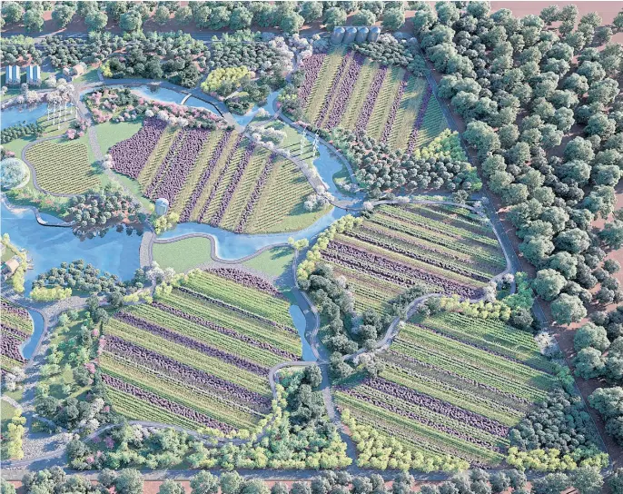  ??  ?? A rendering of ReGen Villages. The first community, with about 300 units, is planned for 61 acres near Amsterdam.