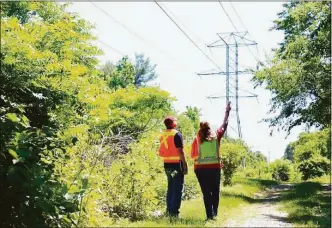  ?? Jarret Liotta / Hearst Connecticu­t Media file photo ?? Eversource staff in June 2021 beneath power lines in Darien. Heading into the summer, Connecticu­t regulators continue to assess the company’s past costs and revenues to adjust rates that take effect in September.