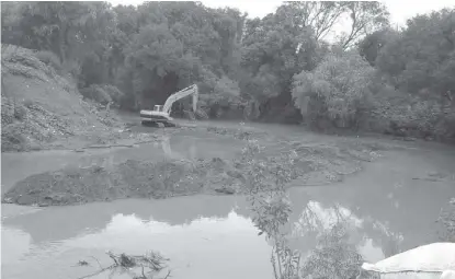  ?? FRANCISCO VILLEDA ?? Un grupo de personas que se opone a la tala de árboles y el daño ambiental se presentó en la zona.