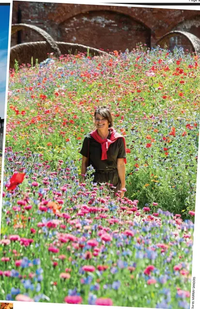  ?? ?? Pictures: Sensory heaven: Jane Fryer soaks up the sights and smells of the ‘Superbloom’
