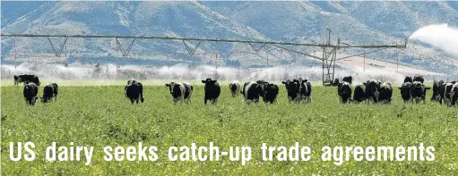  ?? PHOTO: STEPHEN JAQUIERY ?? Breakfast, lunch, dinner . . . Friesian bulls are fattened on pivotirrig­ated crop at Black Peaks farm on the Luggate river flat below the Wanaka airport.