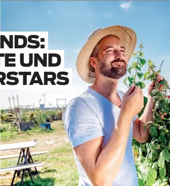  ?? (© Istock) ?? Laut der Trendforsc­herin Hanni Rützler sind Pflanzen die neuen Superstars.