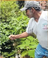  ??  ?? 1.- María es experta en curar los problemas de la salud utilizando fuego. 2. Quienes han recibido la sanación dicen que ella tiene unas manos que hacen ‘milagros’. 3. Con plantas y hierbas medicinale­s también sana, según algunos de sus pacientes.
4. Utiliza los huevos para quitar las malas energías de las personas.