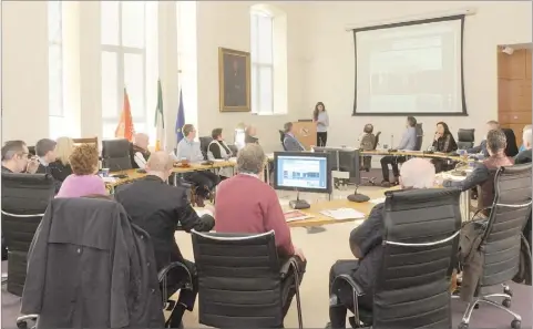  ??  ?? Mary Gill, Queen’s University speaking at the National ‘Pilot’ Town Centre Health Check Training Programme Workshop held in The Town Hall, hosted by Dundalk BIDS Committee.