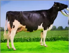  ?? Ref:RH16032413­3 ?? Inter-breed champion was the Holstein, Mag Pandor from the Laird family