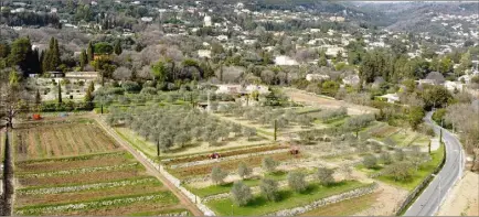  ??  ?? Les travaux en cours sur le nouveau Domaine de la rose by Lancôme concernent la réhabilita­tion du terrain agricole de  hectares, mais aussi de son système d’irrigation et de ses restanques séculaires.