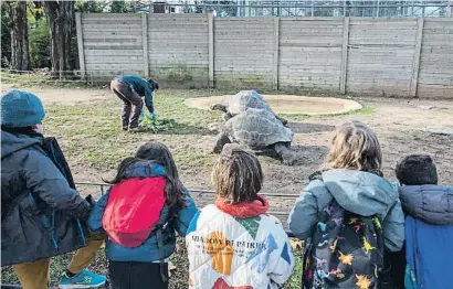  ?? Barce econCÉ ?? Els escolars són un actiu per a l’estratègia d’un zoo que potencia el seu caràcter didàctic