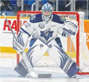  ??  ?? Colten Ellis played the first three seasons of his junior career with the Rimouski Oceanic. He will play for the Charlottet­own Islanders this season.